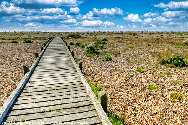 A Serene Path to the Sea Picture Board by Roger Mechan