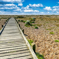 Buy canvas prints of A Serene Path to the Sea by Roger Mechan