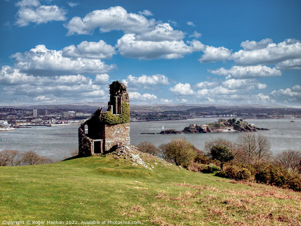 The Enchanting Ruins of Mount Edgcumbe Picture Board by Roger Mechan