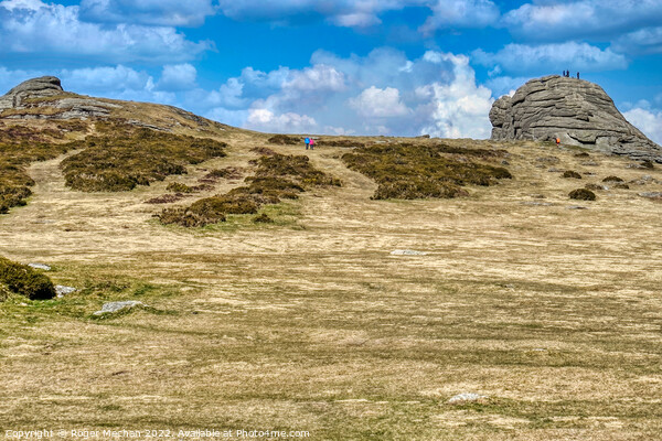 The Magnificent Haytor Tor Picture Board by Roger Mechan