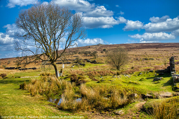 Dartmoor farm, stream and tor in sunny valley Picture Board by Roger Mechan