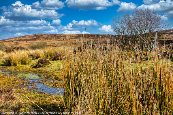Dartmoor bogs and wild moorland Picture Board by Roger Mechan