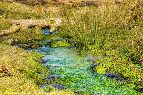 Tranquil Dartmoor Stream Picture Board by Roger Mechan