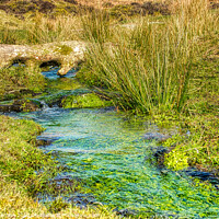 Buy canvas prints of Tranquil Dartmoor Stream by Roger Mechan