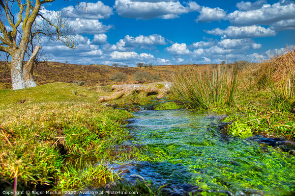 Tranquil Stream Among Dartmoor's Wild Landscape Picture Board by Roger Mechan