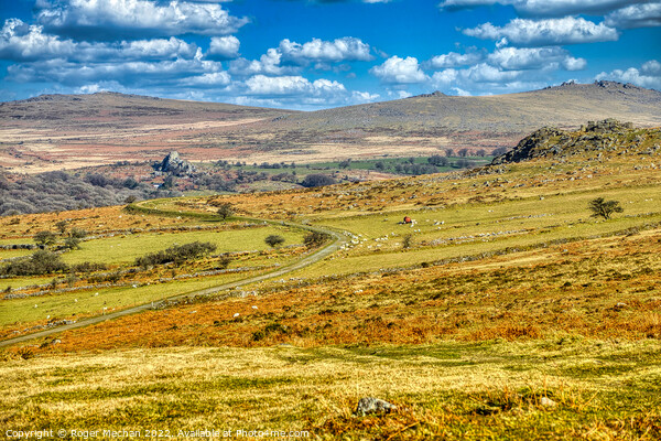 Rolling through Dartmoor Picture Board by Roger Mechan