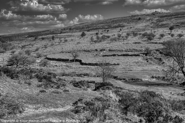 Abandoned Farmstead on Dartmoor Picture Board by Roger Mechan