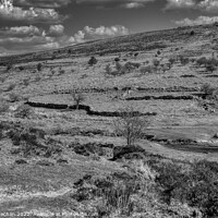 Buy canvas prints of Abandoned Farmstead on Dartmoor by Roger Mechan