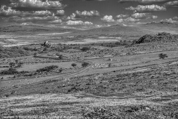 The Rugged Beauty of Dartmoor Picture Board by Roger Mechan