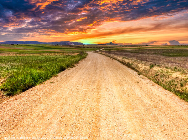 Winding Path to the Spanish Sunset Picture Board by Roger Mechan