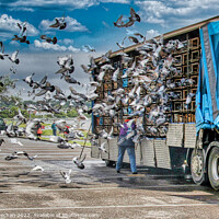 Buy canvas prints of The Great Pigeon Migration by Roger Mechan