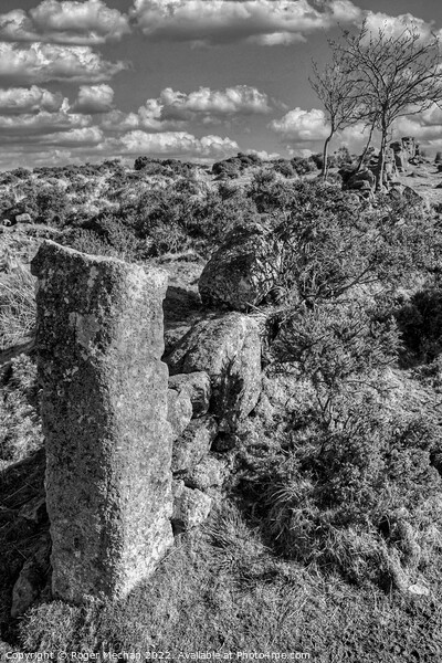 Windswept Ruins of Dartmoor Picture Board by Roger Mechan