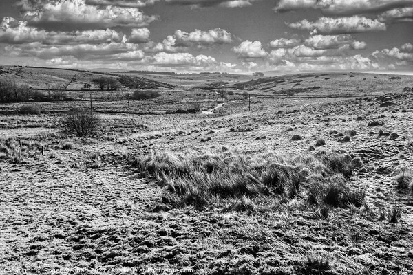 Wild Dartmoor Landscape Picture Board by Roger Mechan