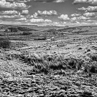 Buy canvas prints of Wild Dartmoor Landscape by Roger Mechan