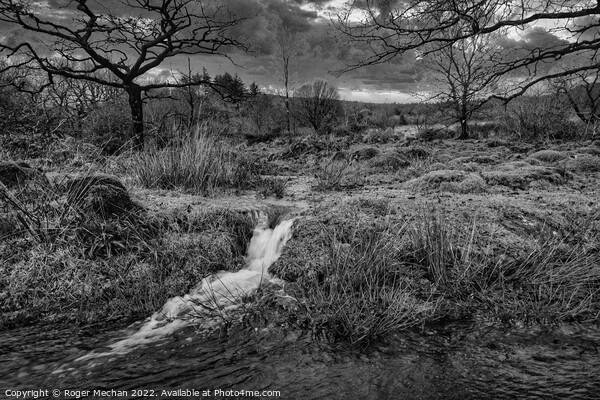 Torrential Rainfall in Dartmoor Picture Board by Roger Mechan