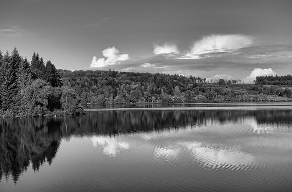 Tranquility in Burrator Reservoir Picture Board by Roger Mechan
