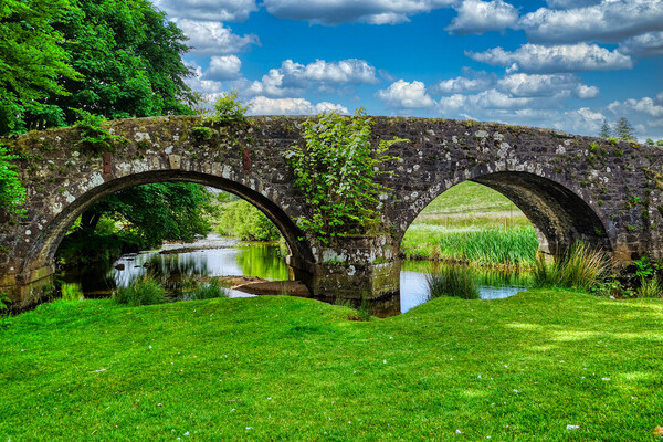 The Enchanting Bridges of Dartmoor Picture Board by Roger Mechan