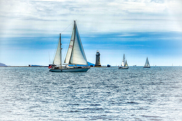 Sail into the horizon Picture Board by Roger Mechan