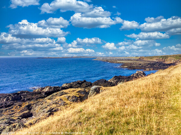 Sun-kissed Isle of Man Coastline Picture Board by Roger Mechan