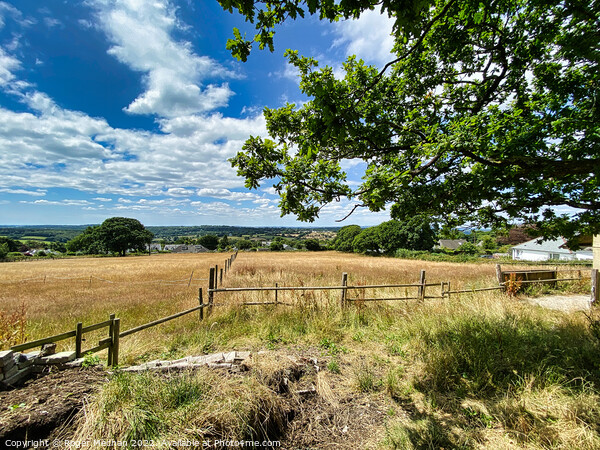Serene Countryside Vista Picture Board by Roger Mechan