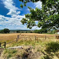 Buy canvas prints of Serene Countryside Vista by Roger Mechan