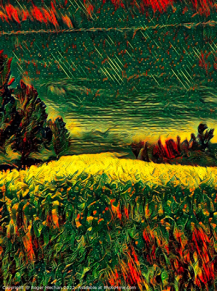 Radiant Rapeseed Fields Picture Board by Roger Mechan