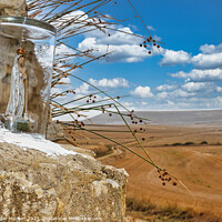 Buy canvas prints of Mother of the Plains by Roger Mechan
