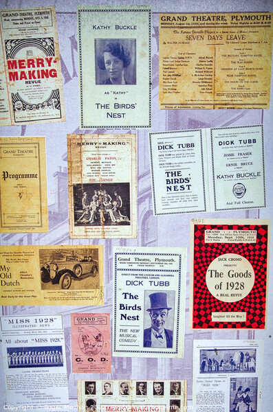 Roaring Variety Theatre Picture Board by Roger Mechan