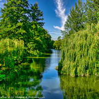 Buy canvas prints of Serenity of the Weeping Willow by Roger Mechan