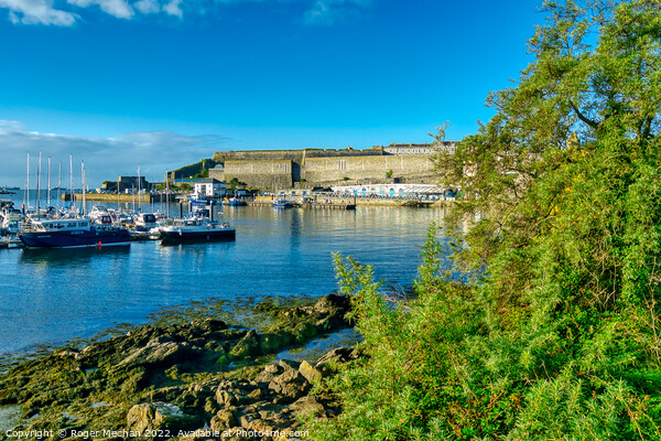 Peaceful Harbour Scene Picture Board by Roger Mechan