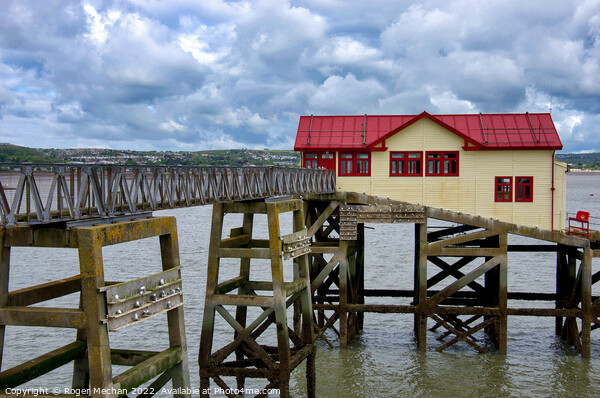 Seagulls Overlooking the Old Lifeboat Station Picture Board by Roger Mechan