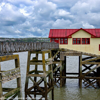 Buy canvas prints of Seagulls Overlooking the Old Lifeboat Station by Roger Mechan