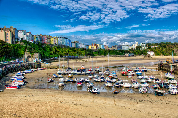 Colourful Tenby Harbour Picture Board by Roger Mechan