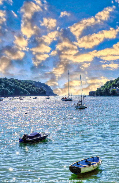 The Serenity of River Dart Picture Board by Roger Mechan