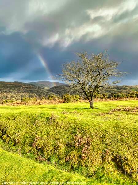 The Last Glimpse of a Dartmoor Rainbow Picture Board by Roger Mechan