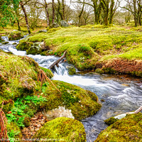 Buy canvas prints of Mossy Waterfalls of River Meavy by Roger Mechan