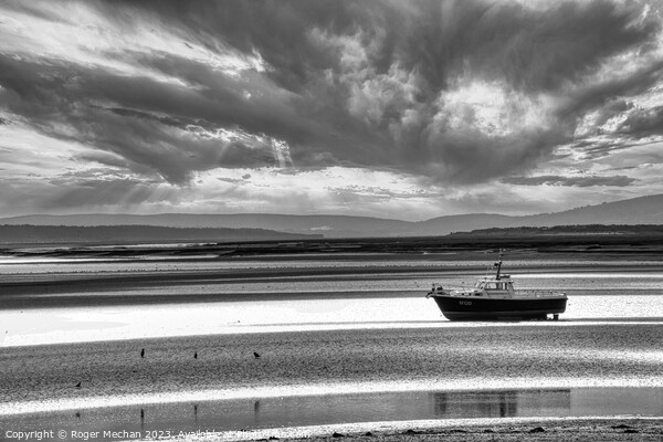 Solitude on Taf Estuary Picture Board by Roger Mechan