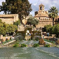 Buy canvas prints of Gardens in Alcázar de los Reyes Cristianos by Roger Mechan