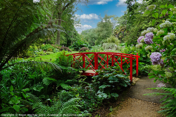 Enchanting Oasis: A Blissful Garden Escape Picture Board by Roger Mechan