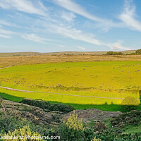 Buy canvas prints of Dartmoor's Historical Wheal Betsy Panorama by Roger Mechan