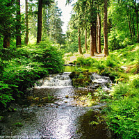 Buy canvas prints of Enchanting Dartmoor Woodland Stream by Roger Mechan