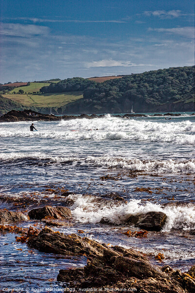 Surfing a stormy Wembury Beach Devon Picture Board by Roger Mechan
