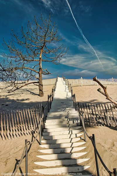 Dune de Pilat, Arcachon. Picture Board by Roger Mechan