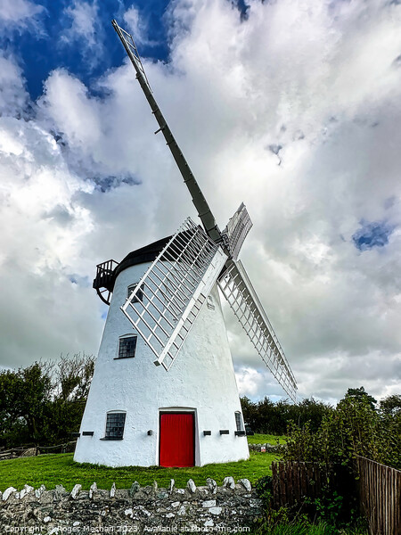 Llynon Mill Anglesea North Wales Picture Board by Roger Mechan
