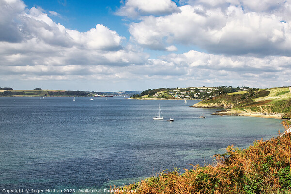 Looking up the river Fal in Cornwall Picture Board by Roger Mechan