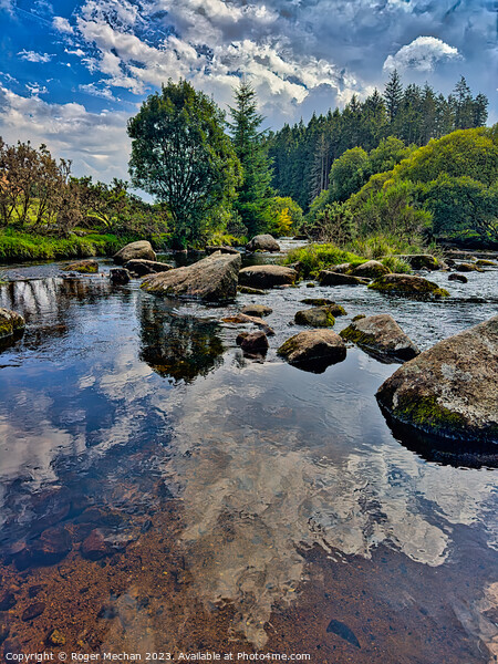 The East Dart river at Bellever Dartmoor Picture Board by Roger Mechan