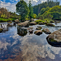 Buy canvas prints of The East Dart river at Bellever Dartmoor by Roger Mechan