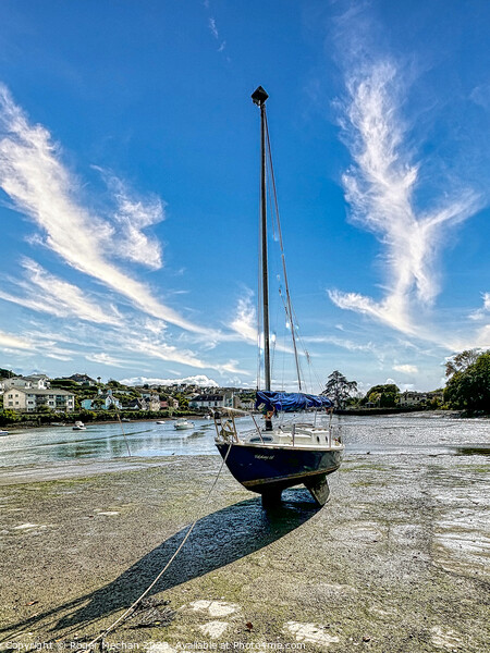 Lone yacht on the Kingsbridge estuary Devon Picture Board by Roger Mechan