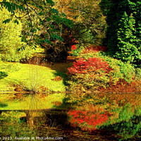 Buy canvas prints of Relections of Autumn by Roger Mechan