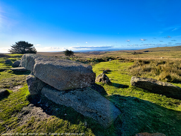 Granite rocks and Dartmoor wilderness Picture Board by Roger Mechan